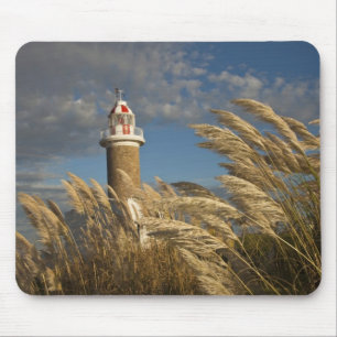 Uruguay, Montevideo Department, Montevideo. 2 Mouse Pad