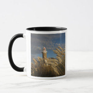 Uruguay, Montevideo Department, Montevideo. 2 Mug