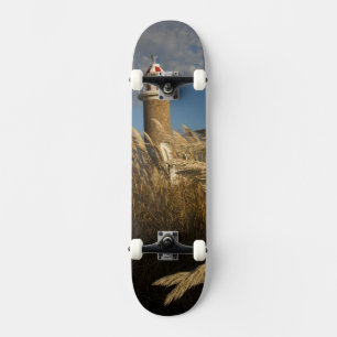 Uruguay, Montevideo Department, Montevideo. 2 Skateboard