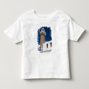 Uruguay, Montevideo Department, Montevideo. Toddler T-Shirt