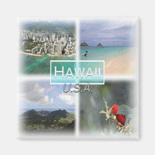 US0145 America, United States, Hawaii, Fridge  Magnet