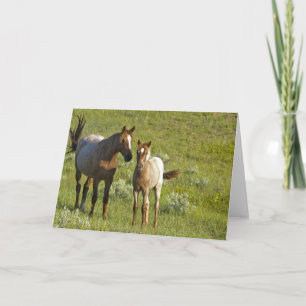 US35 CHA0209.jpg Card