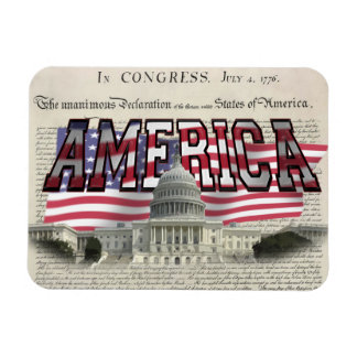 US Capital US Flag Flexable Magnet
