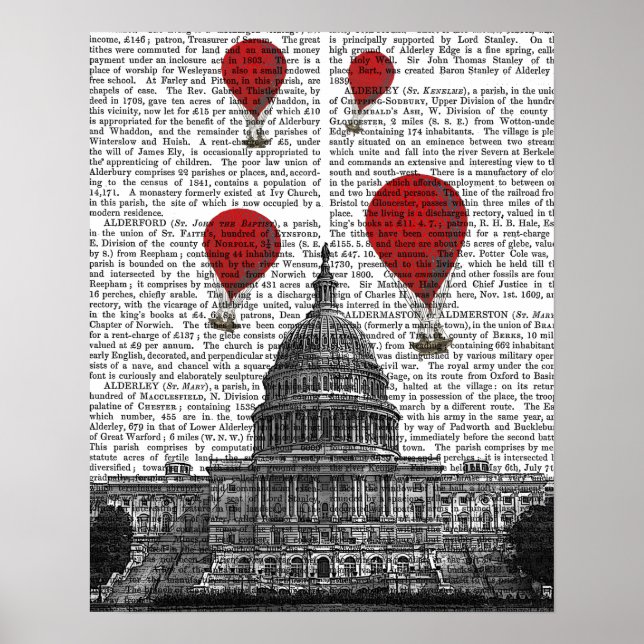 US Capitol Building and Red Hot Air Balloons Poster (Front)