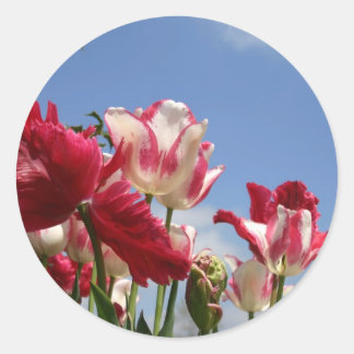 US Capitol spring Classic Round Sticker