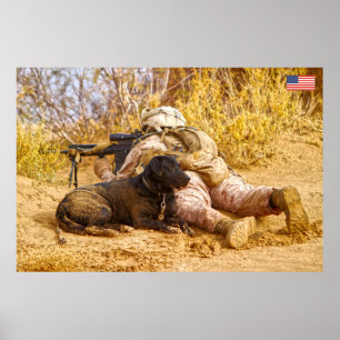 US COMBAT PERSONNEL POSTER