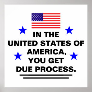 US Due Process Poster
