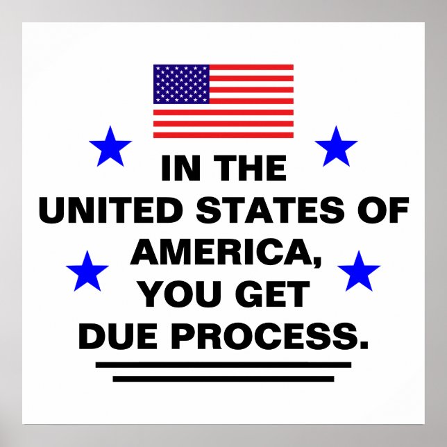 US Due Process Poster (Front)