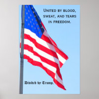 US flag: United...in freedom/ divided by Trump