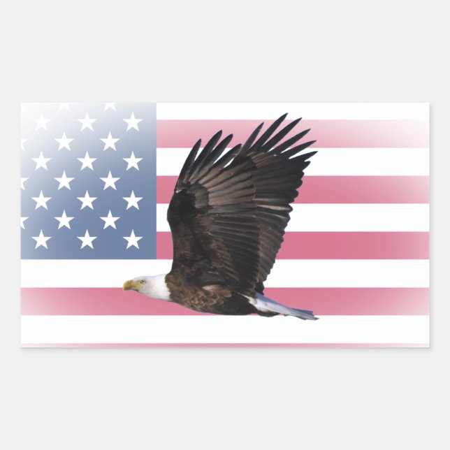 US Flag with Eagle Sticker (Rectangle) (Front)