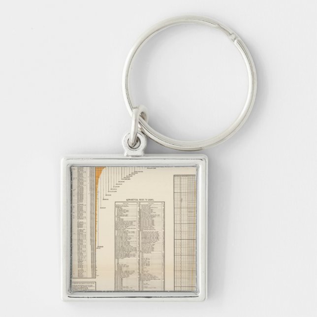 US loans Key Ring (Front)