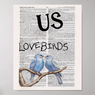 US —— LOVEBIRDS POSTER