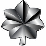 US Military Rank - Lieutenant Colonel Standing Photo Sculpture<br><div class="desc">US Military Rank - Lieutenant Colonel military rank.</div>