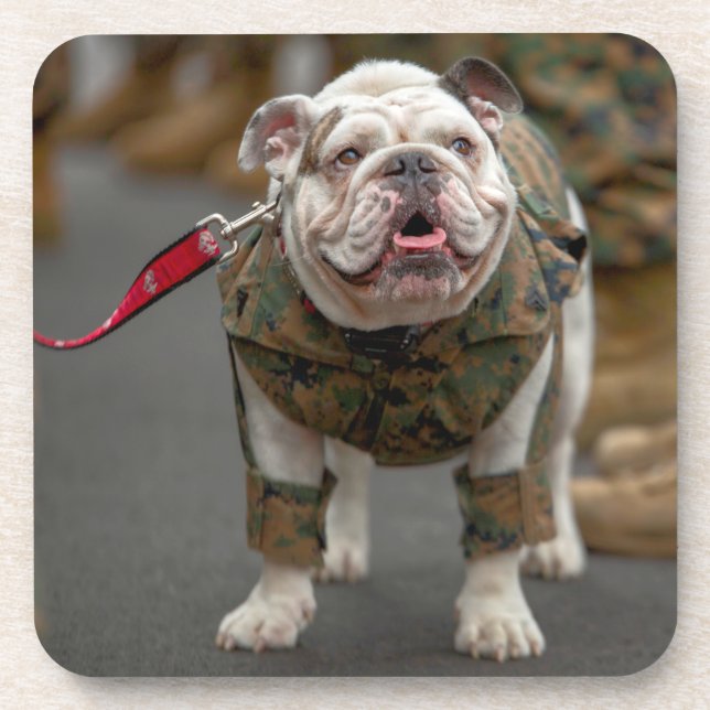 US MILITARY SERVICE DOG COASTER (Front)