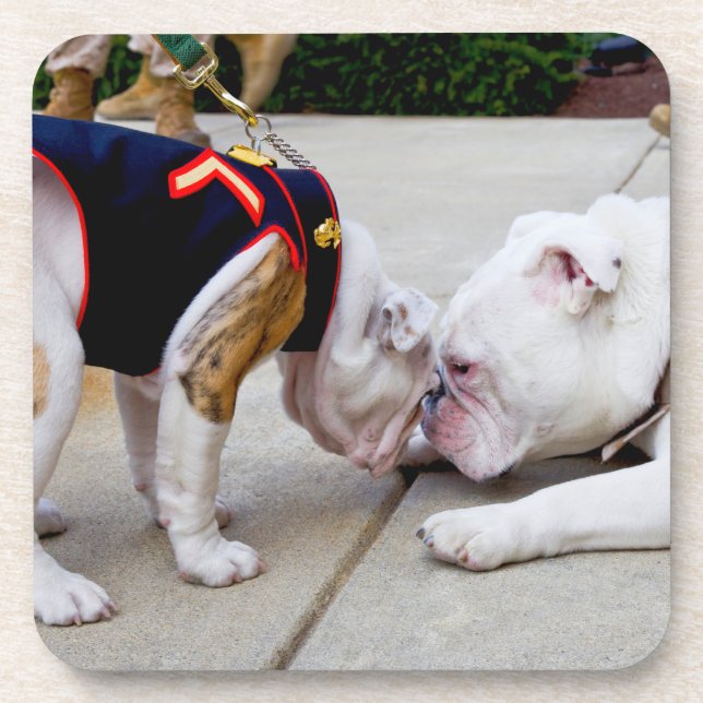 US MILITARY SERVICE DOG COASTER (Front)