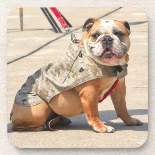US MILITARY SERVICE DOG COASTER (Front)
