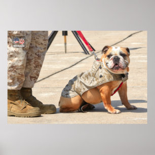US MILITARY SERVICE DOG POSTER