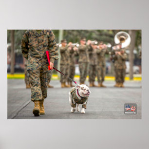 US MILITARY SERVICE DOG POSTER