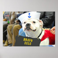 US MILITARY SERVICE DOG