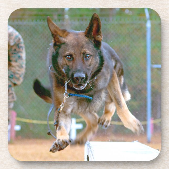 US MILITARY WORKING DOG COASTER (Front)