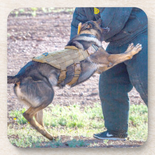 US MILITARY WORKING DOG COASTER