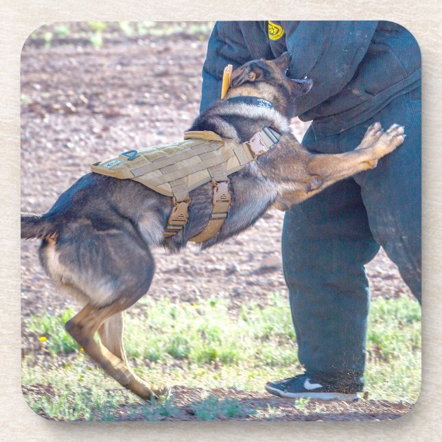 US MILITARY WORKING DOG COASTER (Front)