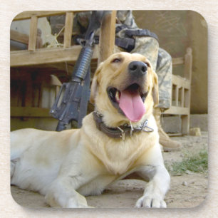 US MILITARY WORKING DOG COASTER