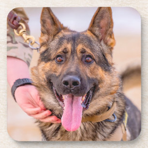 US MILITARY WORKING DOG COASTER