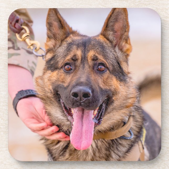 US MILITARY WORKING DOG COASTER (Front)