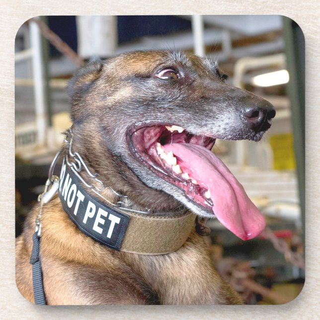 US MILITARY WORKING DOG COASTER (Front)