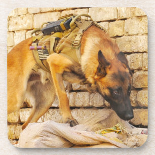 US MILITARY WORKING DOG COASTER