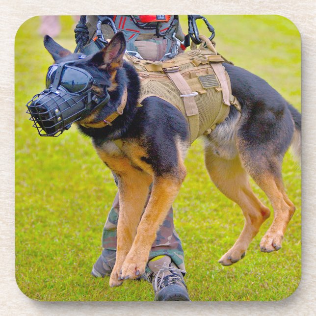 US MILITARY WORKING DOG COASTER (Front)