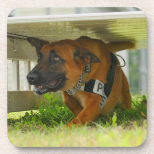 US MILITARY WORKING DOG COASTER