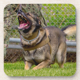 US MILITARY WORKING DOG COASTER