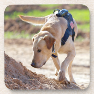 US MILITARY WORKING DOG COASTER