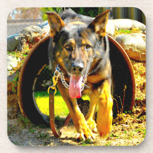 US MILITARY WORKING DOG COASTER