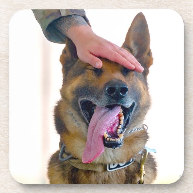 US MILITARY WORKING DOG COASTER (Front)