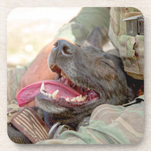 US MILITARY WORKING DOG COASTER