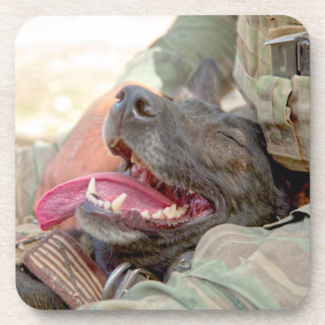 US MILITARY WORKING DOG COASTER (Front)