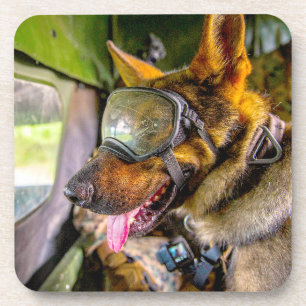 US MILITARY WORKING DOG COASTER
