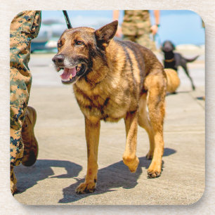 US MILITARY WORKING DOG COASTER