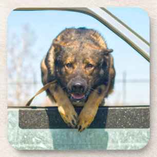 US MILITARY WORKING DOG COASTER