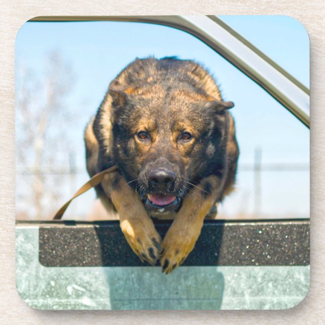 US MILITARY WORKING DOG COASTER (Front)
