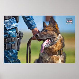 US MILITARY WORKING DOG POSTER