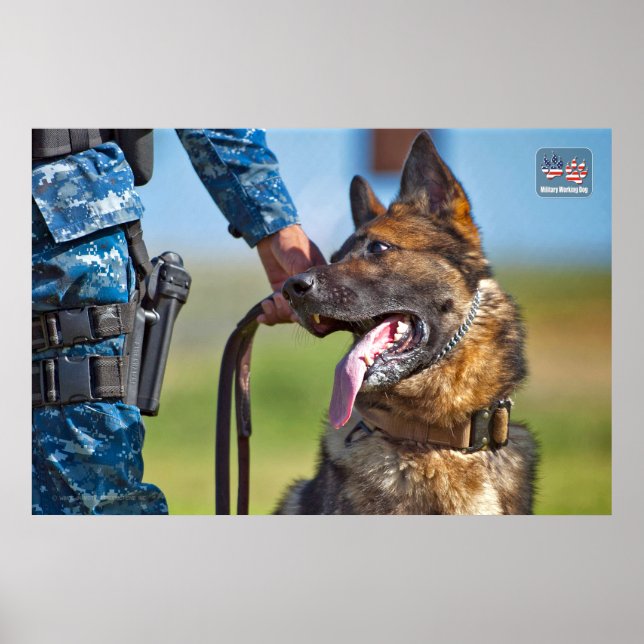 US MILITARY WORKING DOG POSTER (Front)