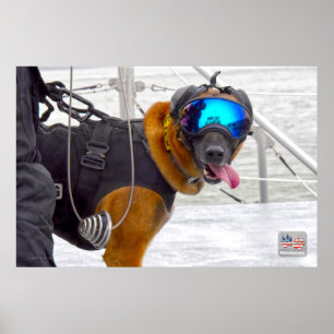 US MILITARY WORKING DOG POSTER