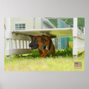 US MILITARY WORKING DOG POSTER