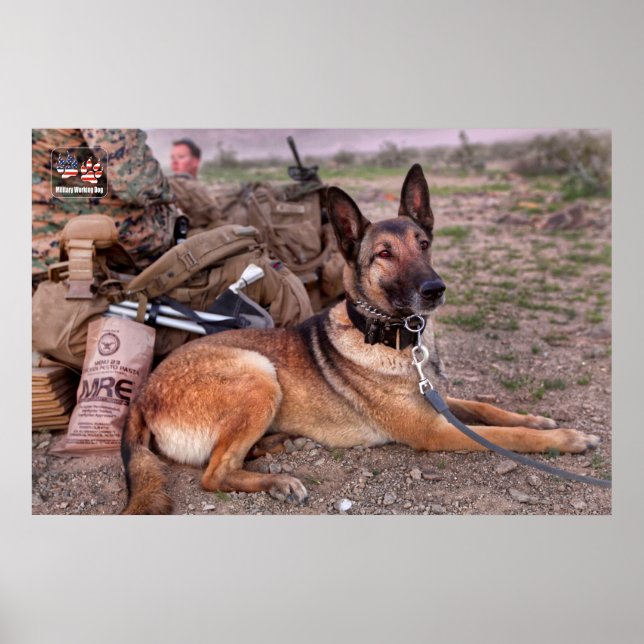 US MILITARY WORKING DOG POSTER (Front)
