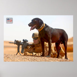 US MILITARY WORKING DOG POSTER
