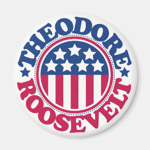 US President Theodore Roosevelt Magnet